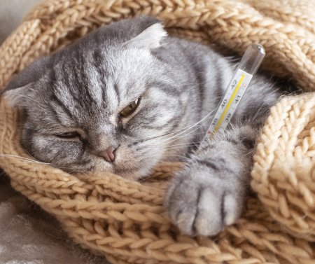 Магнітна буря та акція «Захисти своє серце та судини»