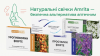 Натуральна альтернатива аптечним свічкам які несуть ризики  Натуральна альтернатива аптечним свічкам які несуть ризики